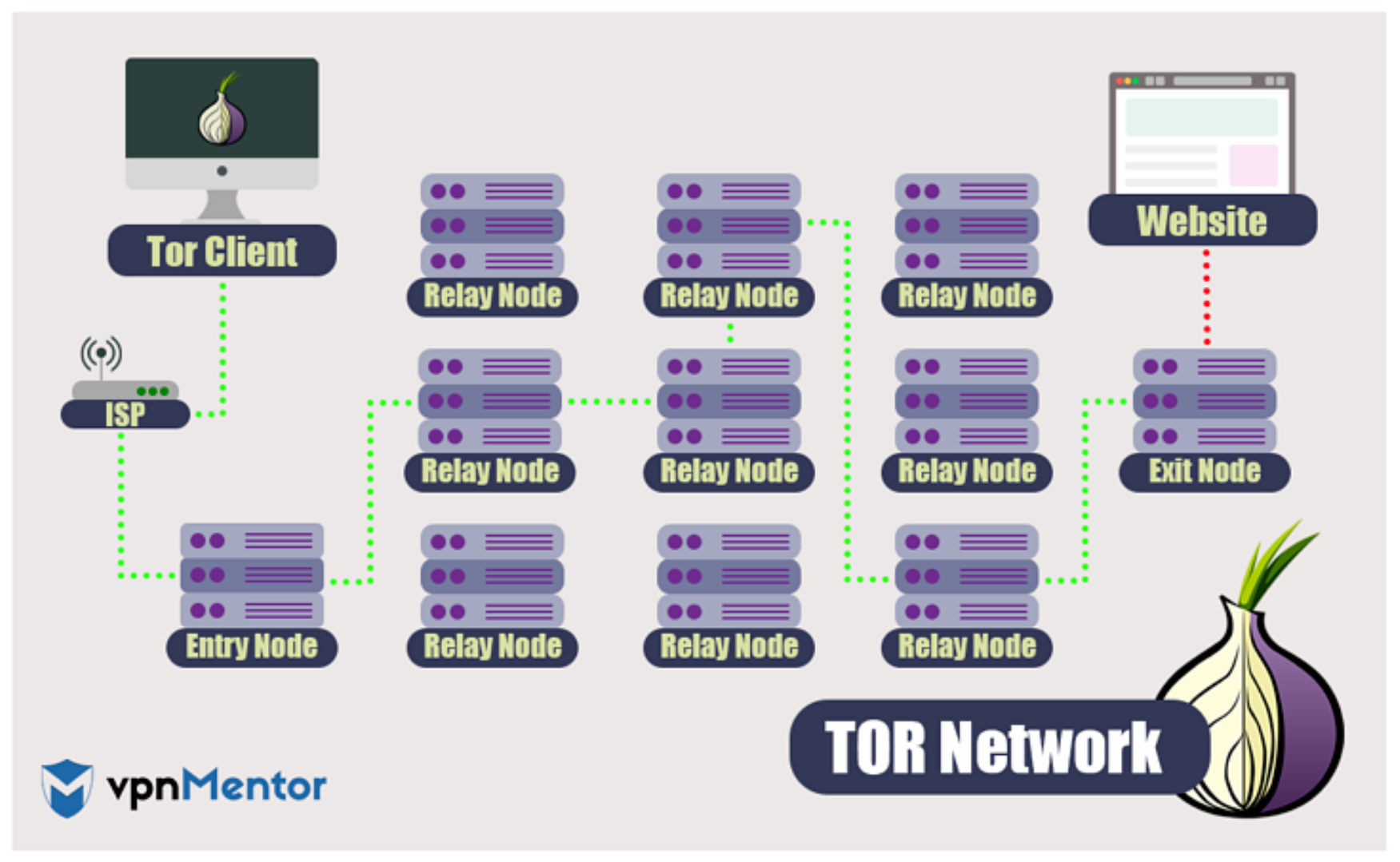 Bild zeigt, wie Ihre Daten durch das Tor Browser Netzwerk reisen