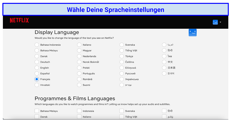 Graphic showing Netflix language settings