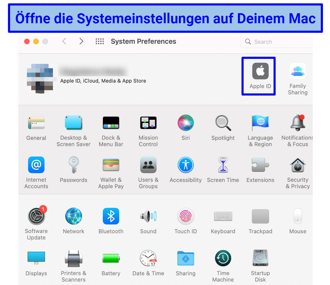 Screenshot of Mac's System Preferences window