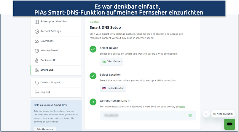 Screenshot of PIA's Smart DNS settings