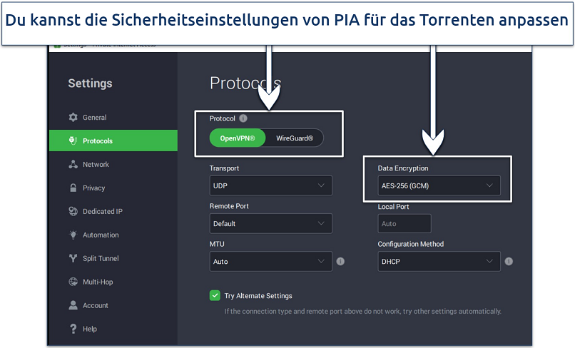 Screenshot of PIA's customized security settings