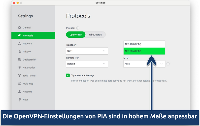 Screenshot showing the customization options on PIA's Settings menu