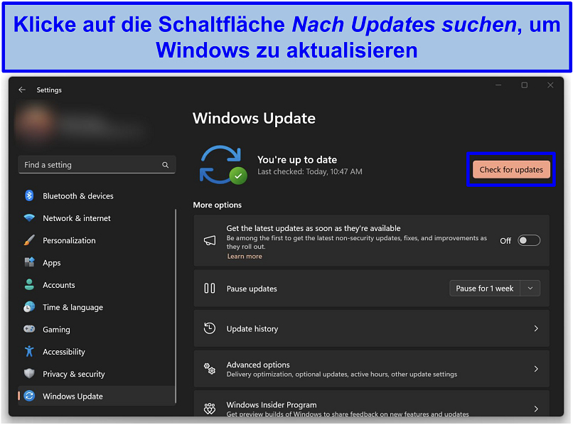 Screenshot of the Windows updates