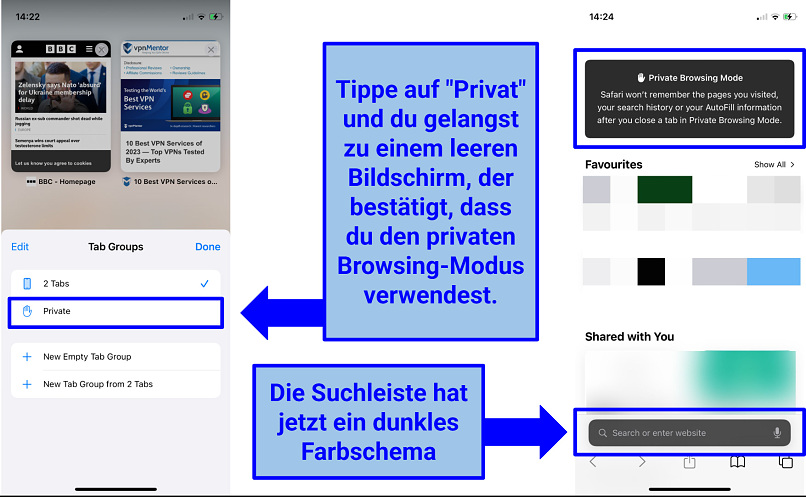Screenshot of the iOS Safari Private Browsing