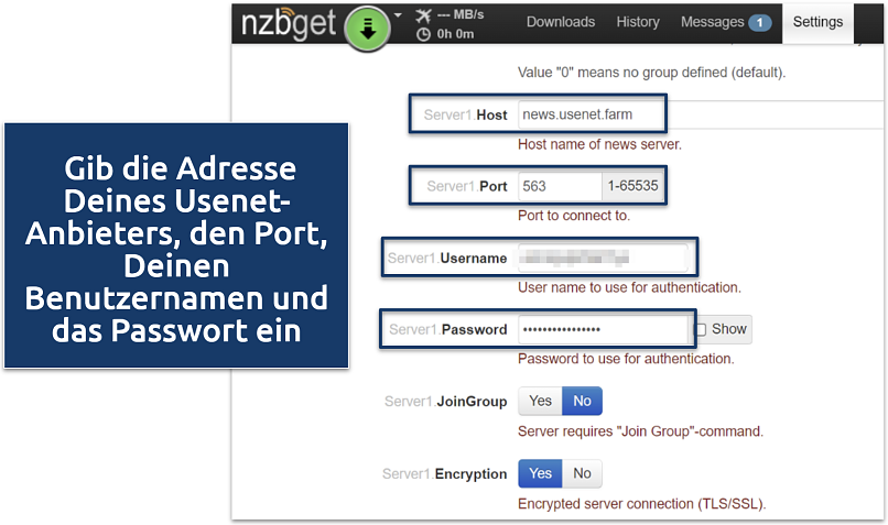 Screenshot, der die Einrichtung des NZBGet-Clients zeigt