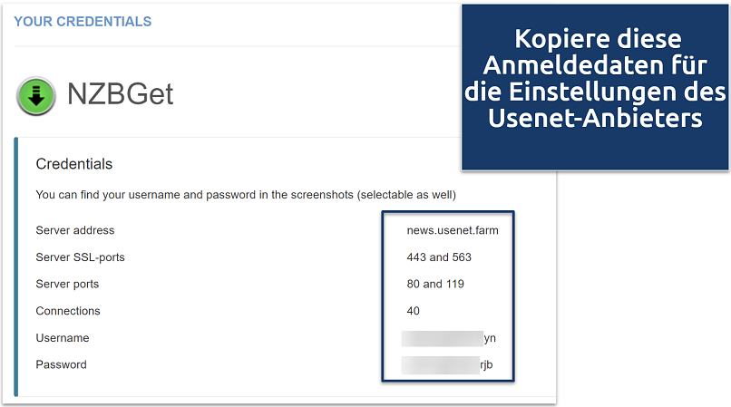 Screenshot, der die Anmeldedaten von Usenet.Farm für NZBGet zeigt