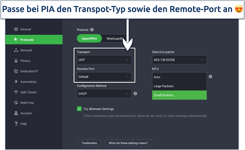Das Bild zeigt die anpassbaren Einstellungen von PIA