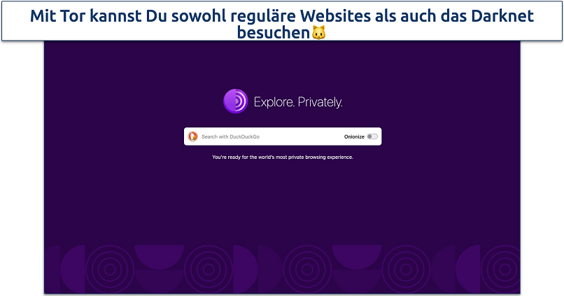 Screenshot der Tor-Browser-Startseite